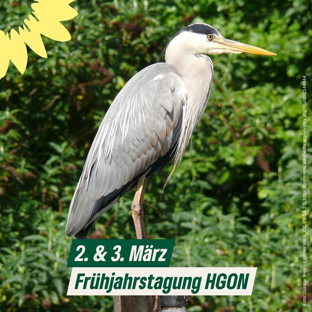 Frühjahrstagung HGON