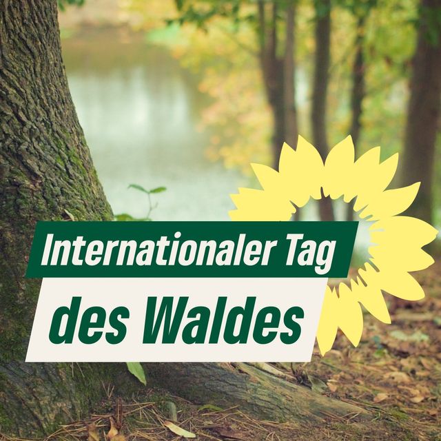 Morgen ist der internationale Tag des Waldes