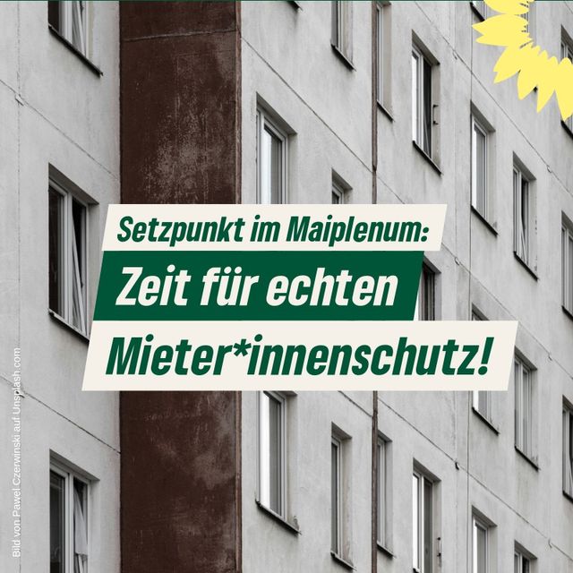 Unser Setzpunkt im Maiplenum