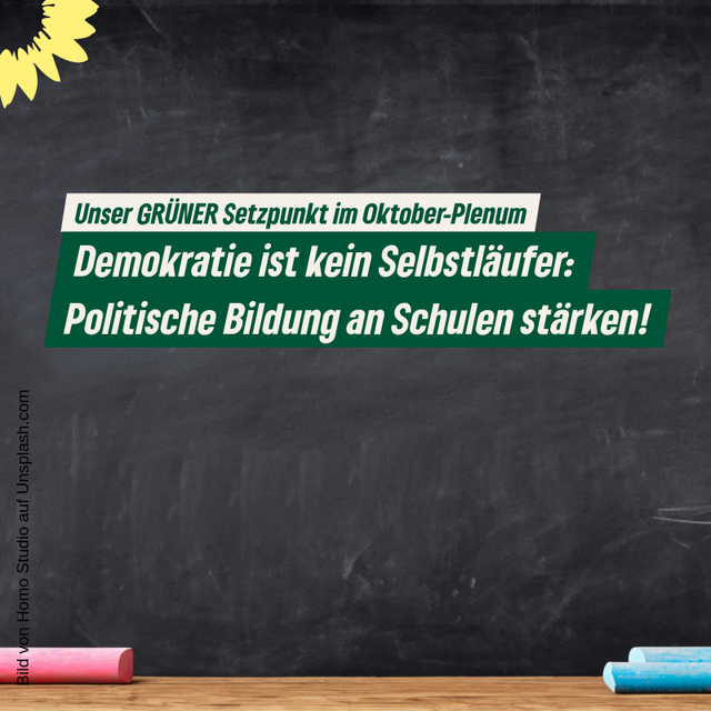 Unser GRÜNER Setzpunkt im Oktober-Plenum