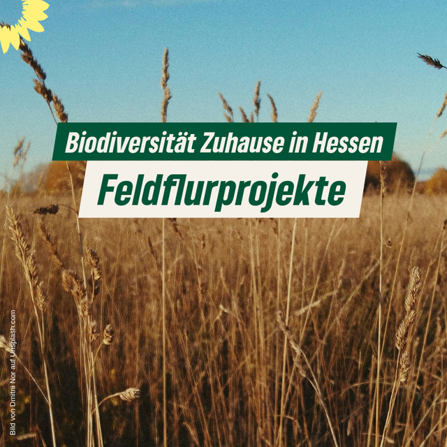 Biodiversität Zuhause in Hessen - Feldflurprojekte