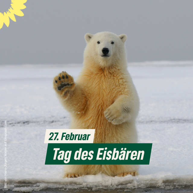 Tag des Eisbären