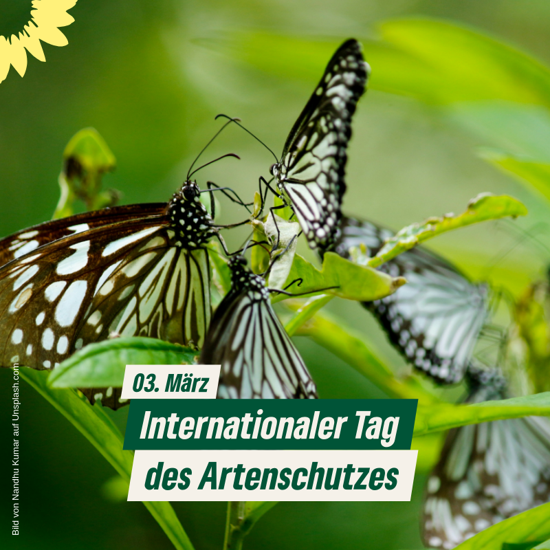 Internationaler Tag des Artenschutzes