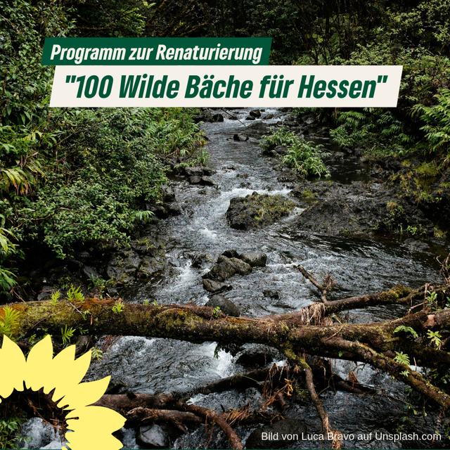 100 Wilde Bäche für Hessen