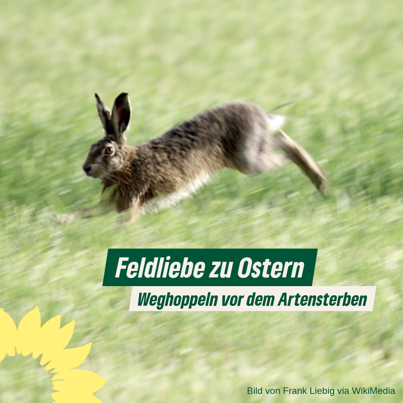 Feldliebe zu Ostern