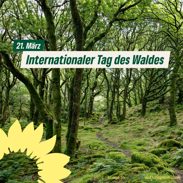 Internationaler Tag des Waldes