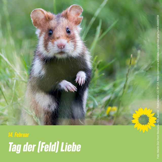 Tag der (Feld-)Liebe