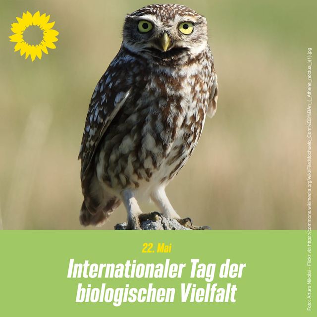 Internationaler Tag der biologischen Vielfalt
