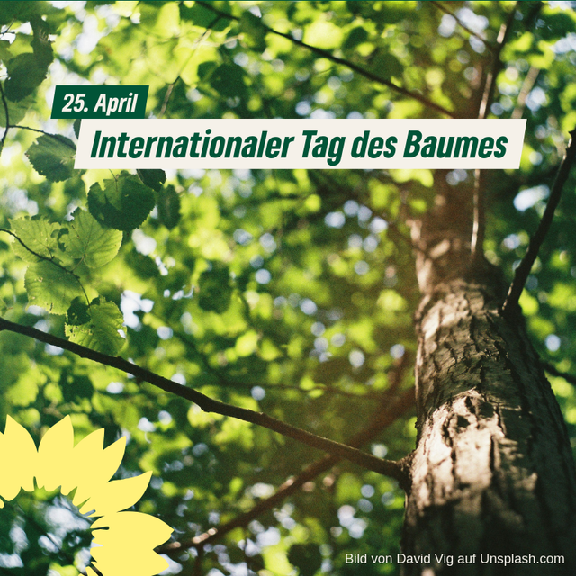 Internationaler Tag des Baumes