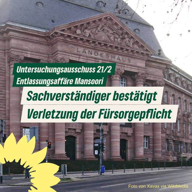 Entlassungsaffäre Mansoori: Sachverständiger bestätigt Verletzung der Fürsorgepflicht