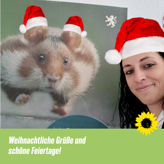 Weihnachtliche Grüße und schöne Feiertage