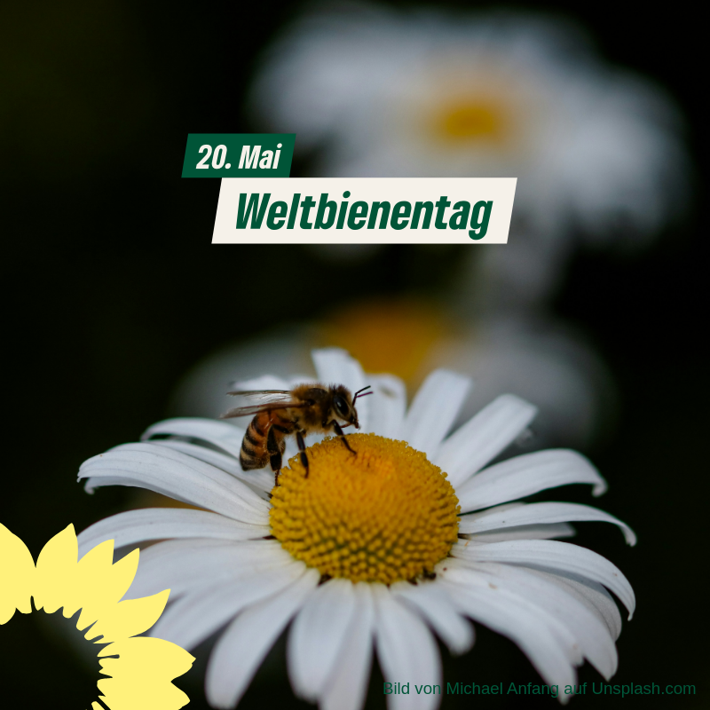 Weltbienentag