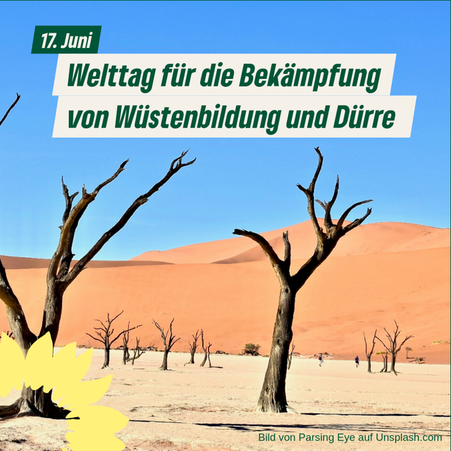 Welttag für die Bekämpfung von Wüstenbildung und Dürre