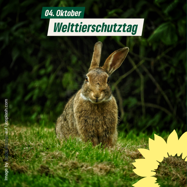 Welttierschutztag