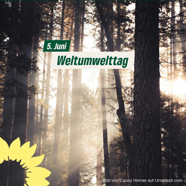 Weltumwelttag