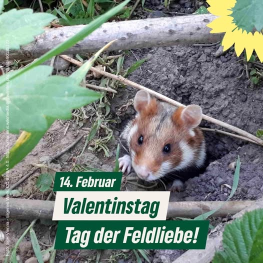 Tag der Feldliebe