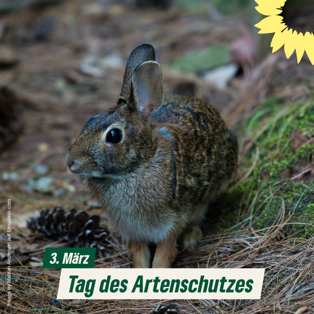 Tag des Artenschutzes