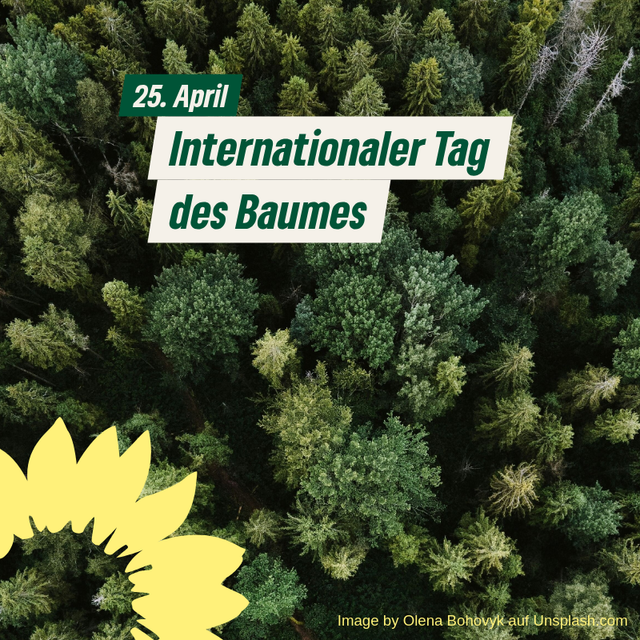 Internationaler Tag des Baumes