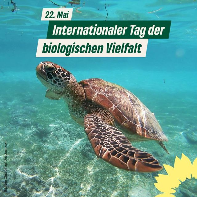Welttag der Biodiversität