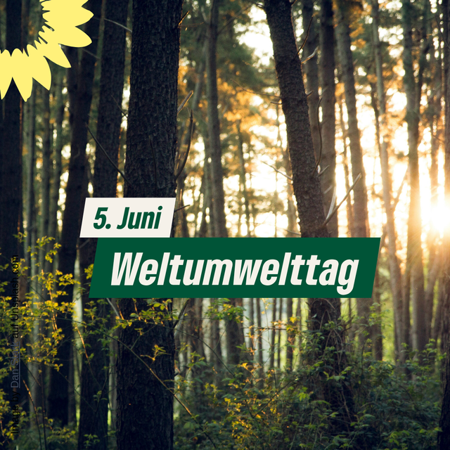 Weltumwelttag