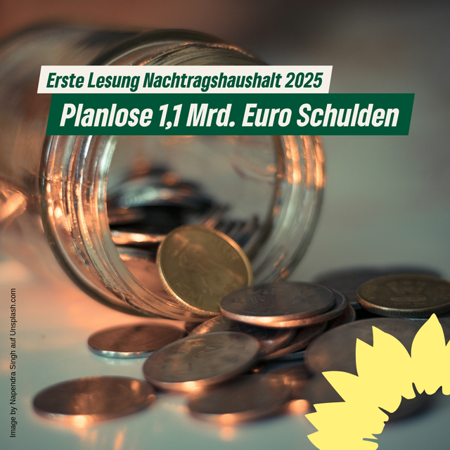 Erste Lesung des Nachtragshaushalts 2025