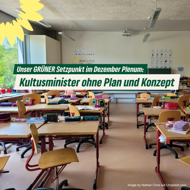 Unser GRÜNER Setzpunkt im Dezember Plenum