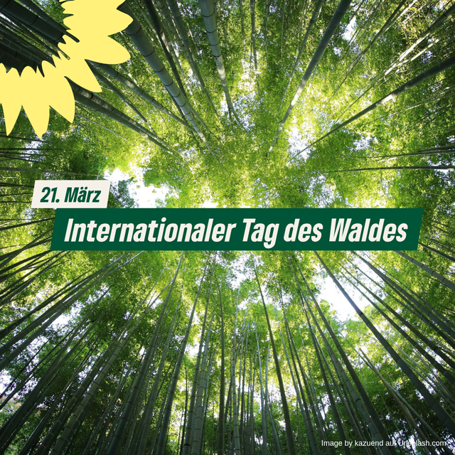 Internationaler Tag des Waldes
