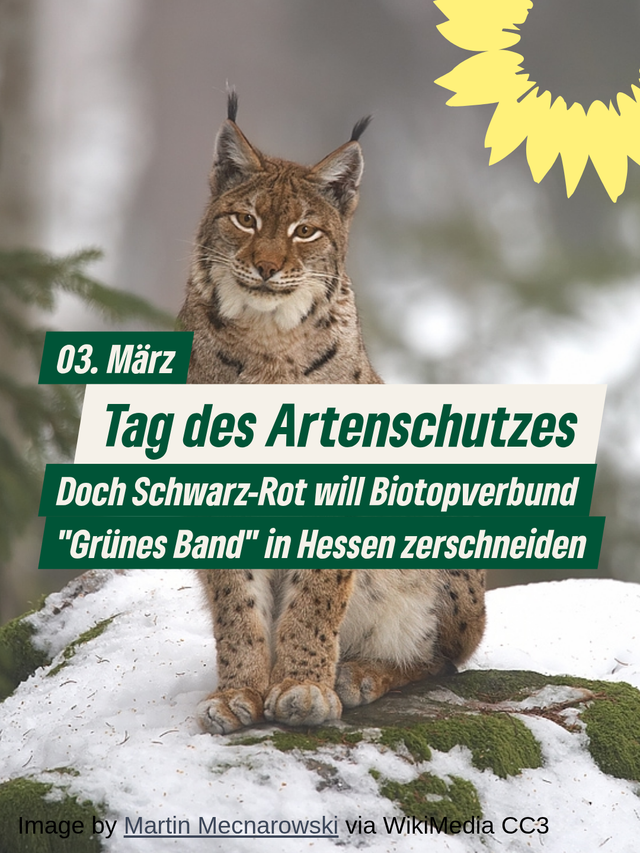 Artenschutztag: Schwarz-Rot zerschneidet größsten Biotopverbund Deutschlands in Hessen