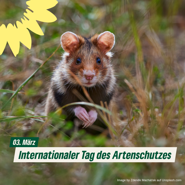 Internationaler Tag des Artenschutzes
