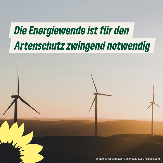 Die Energiewende ist für den Artenschutz notwendig