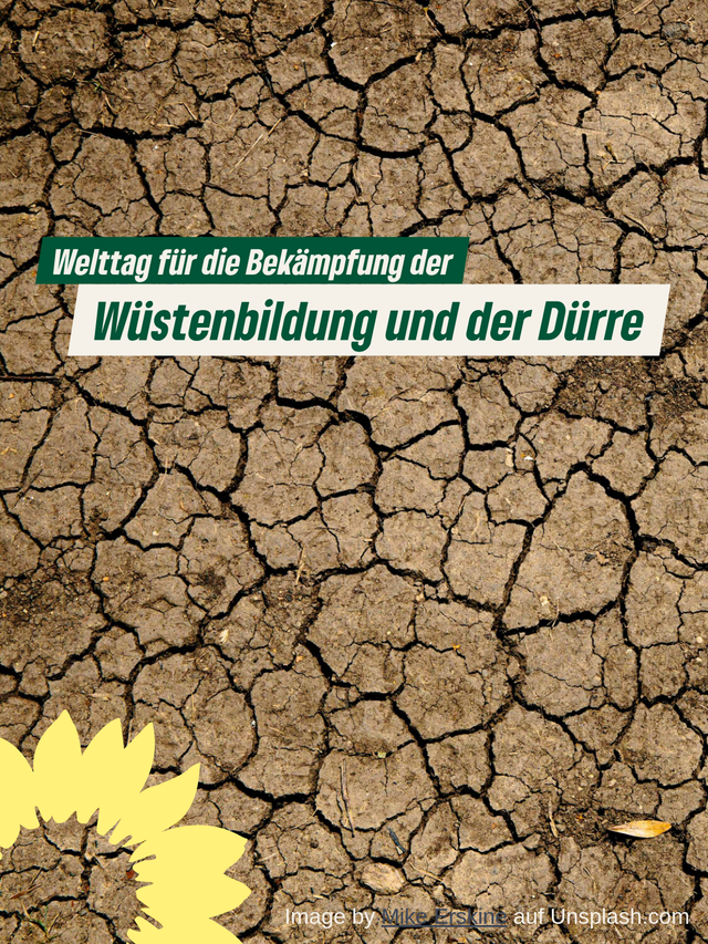 Welttag für die Bekämpfung der Wüstenbildung und der Dürre