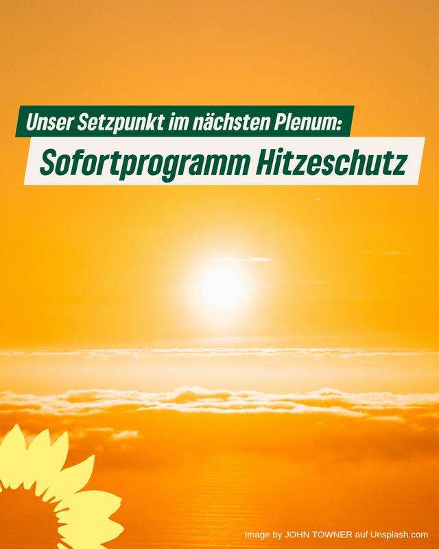 Unser Setzpunkt im nächsten Plenum: Sofortprogramm Hitzeschutz