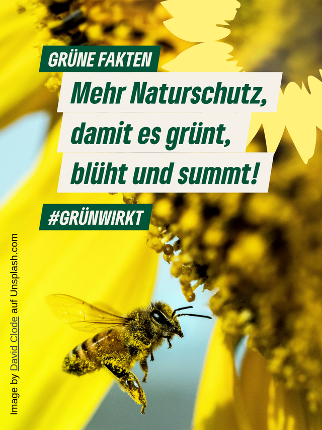 GrünWirkt für Naturschutz